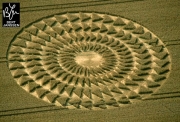 Crop Circles