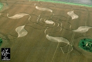 Crop Circles