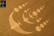 Crop Circles