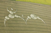 Crop Circles