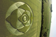 Crop Circles