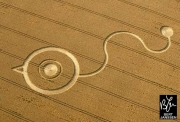 Crop Circles