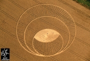 Crop Circles