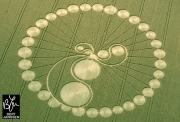 Crop Circles