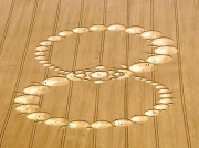 Crop Circles