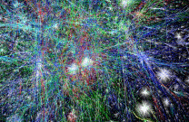 An Internet Prayer Wheel