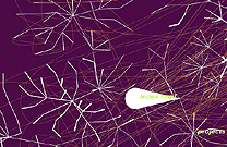 Ben Fry's anemone visualization