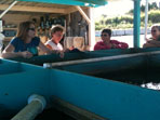 Friendly Aquaponics Internship, Jan 2011