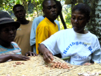 Cocoa Training