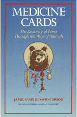 Medicine Cards Tarot Deck